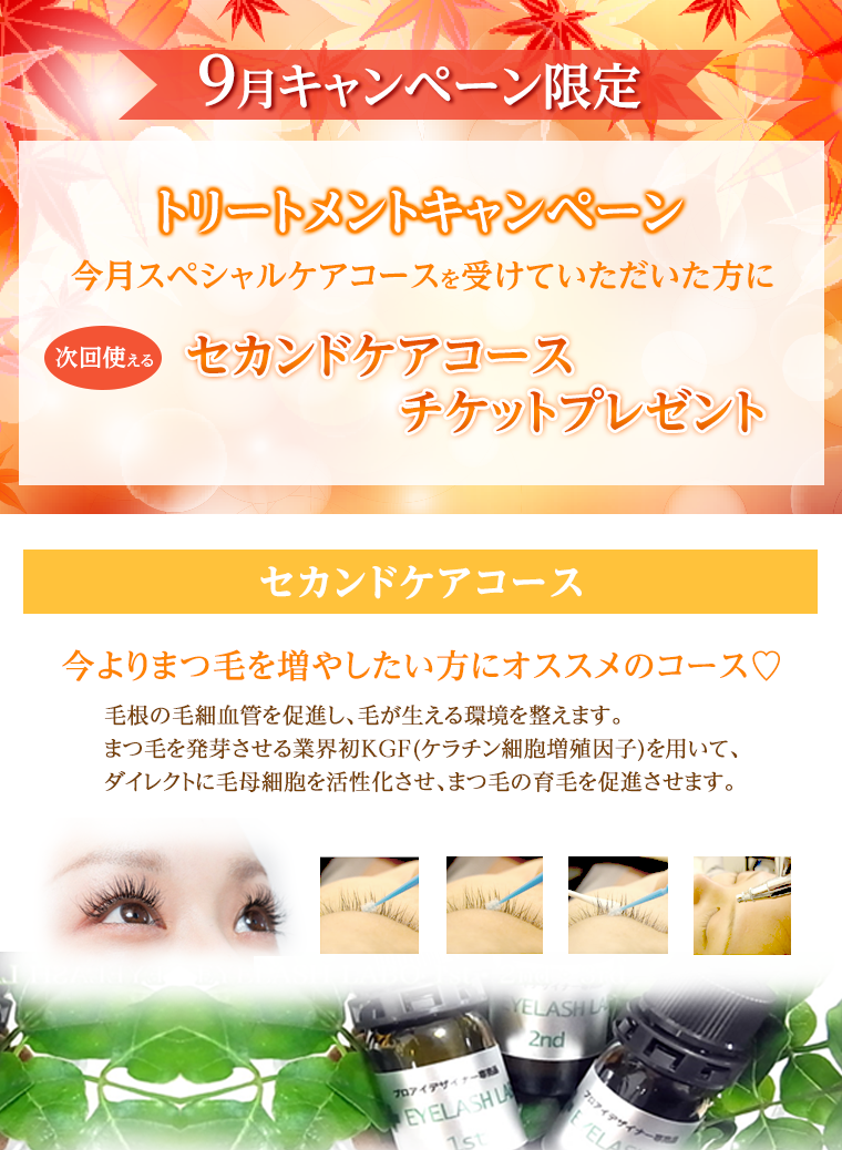 11月キャンペーン